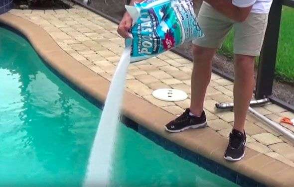 What is a Saltwater Pool? Chemistry, Lifespan, Cost, & More